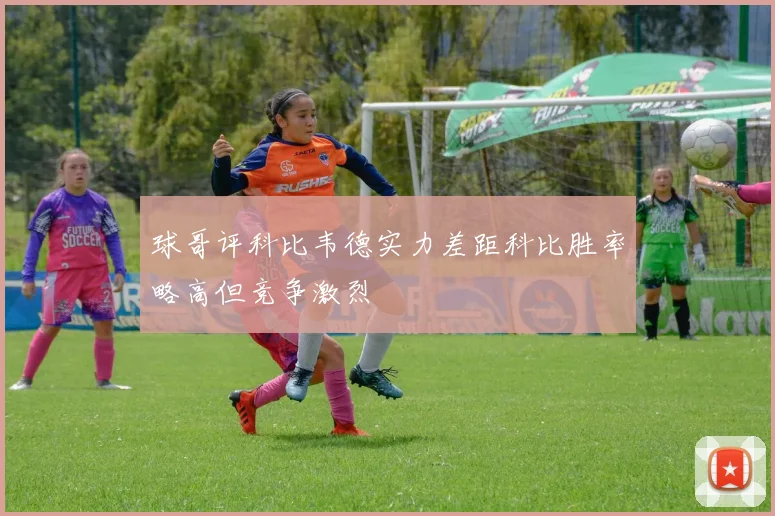 球哥评科比韦德实力差距科比胜率略高但竞争激烈
