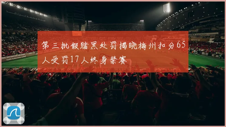 第三批假赌黑处罚揭晓梅州扣分65人受罚17人终身禁赛