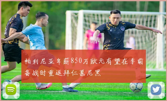 帕利尼亚年薪850万欧元有望在季前备战时重返拜仁慕尼黑
